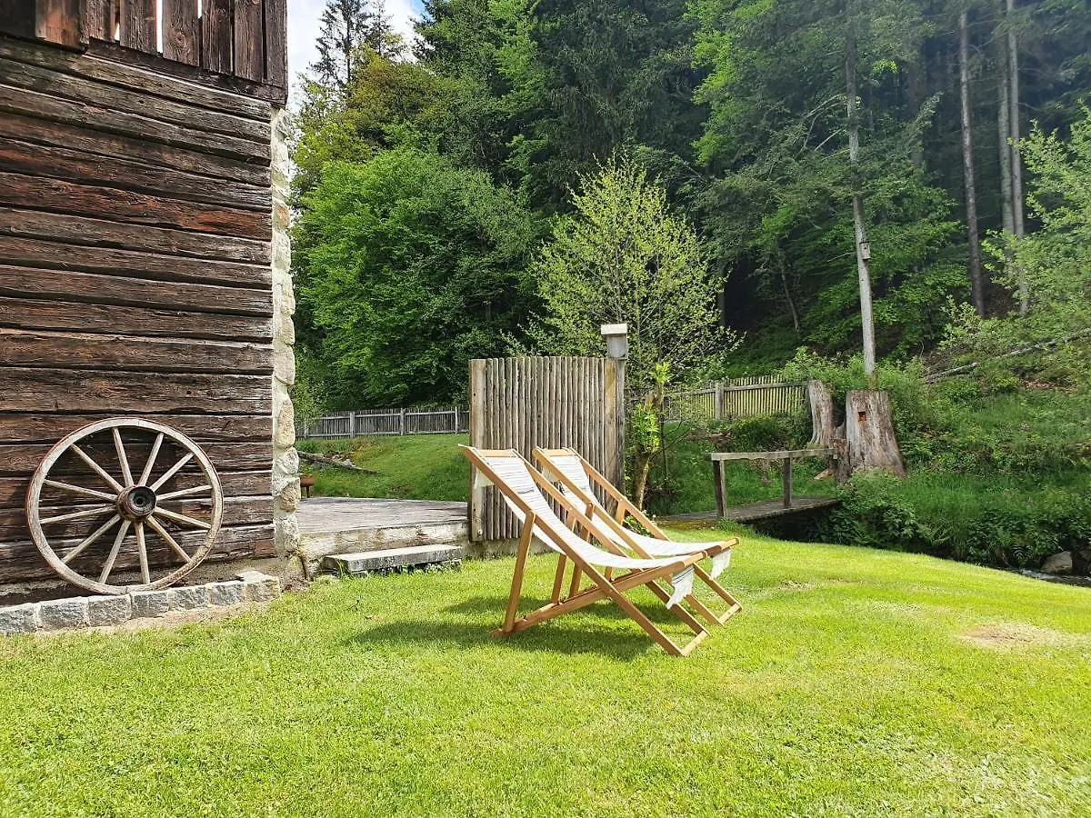 Naturidyll Kollnbergmühle Fürstenstein Ferienhaus